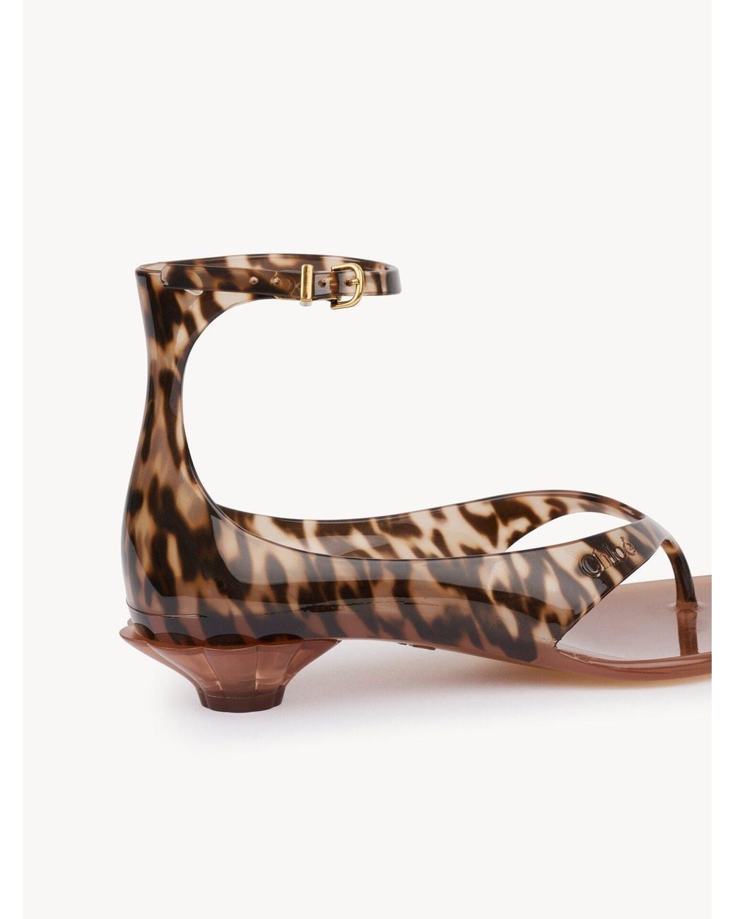 Chloé Brown Chloé Jelly Thong Sandals