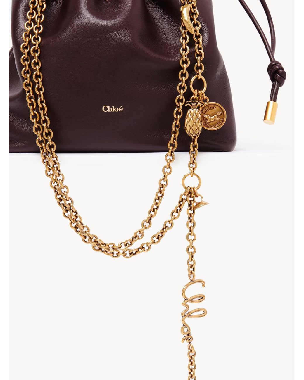 Chloé Brown Chloé Icons Mini Shoulder Bag