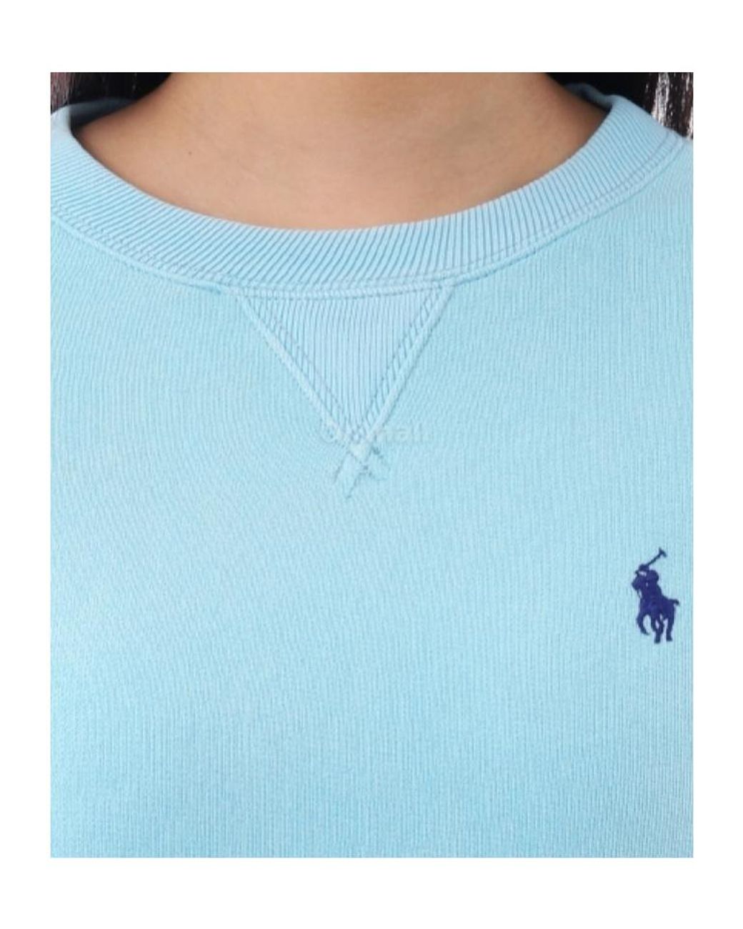 Polo Ralph Lauren Blue Long-Sleeved Sweatshirt