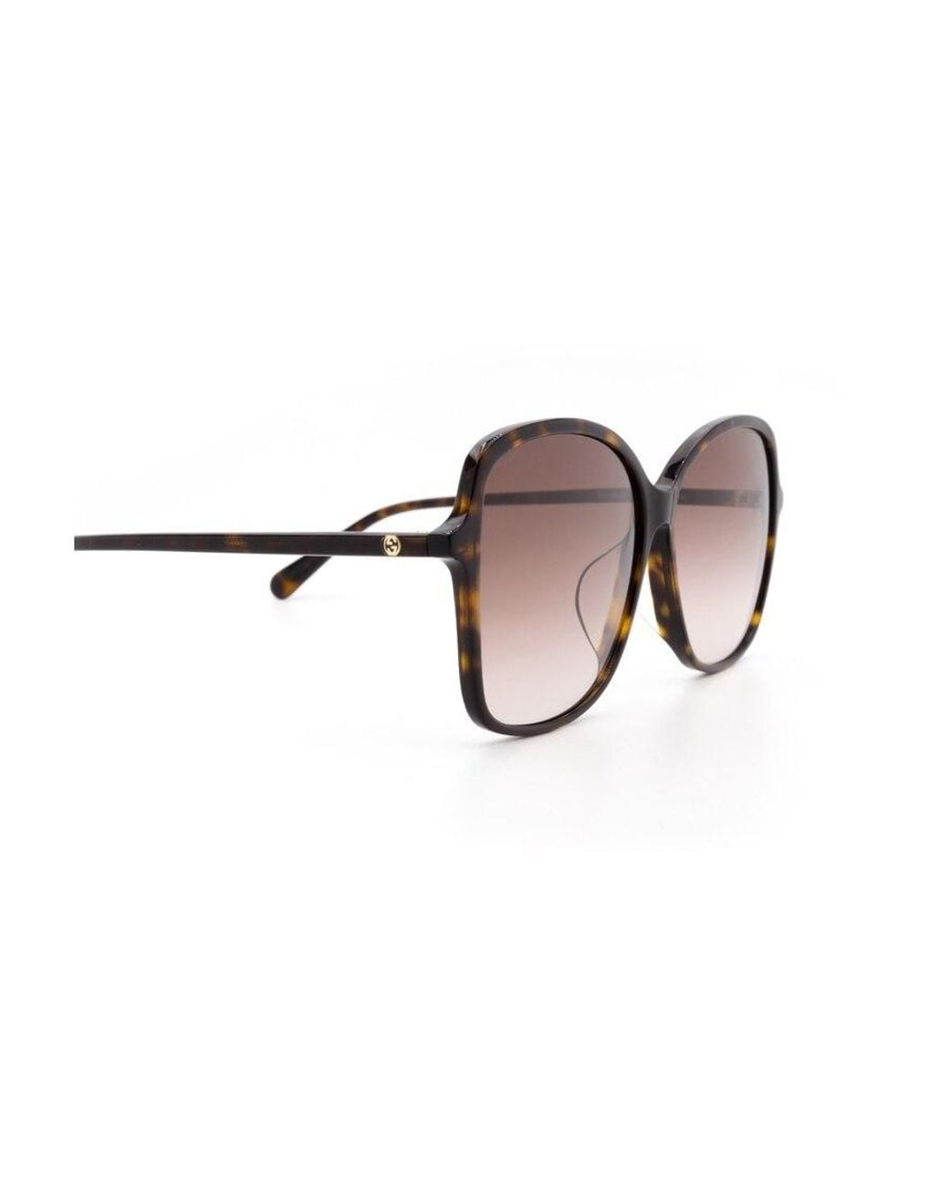 Gucci Brown Ladies Sunglasses for men