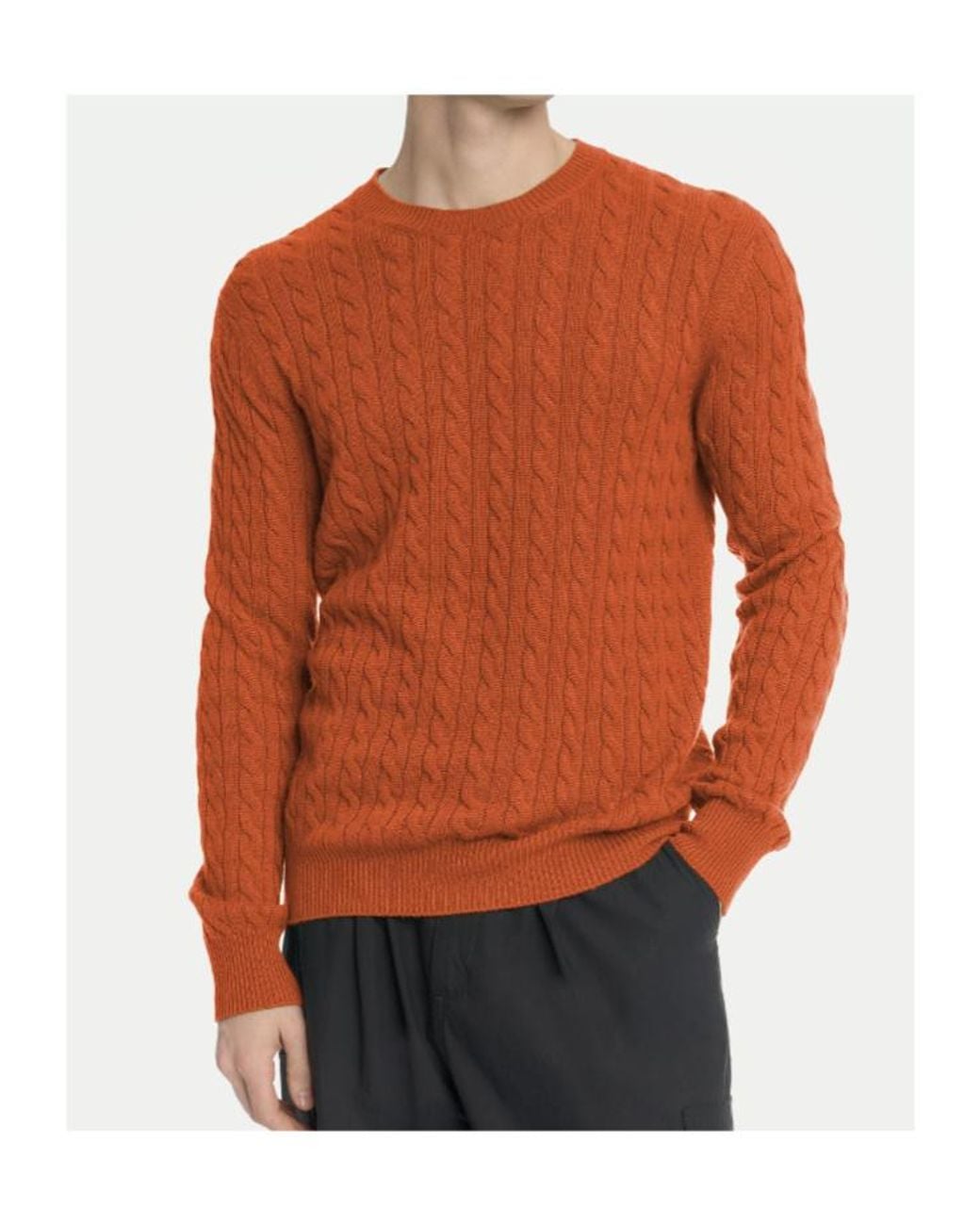 Malo Brown Cable-Knit Cashmere Sweater for men
