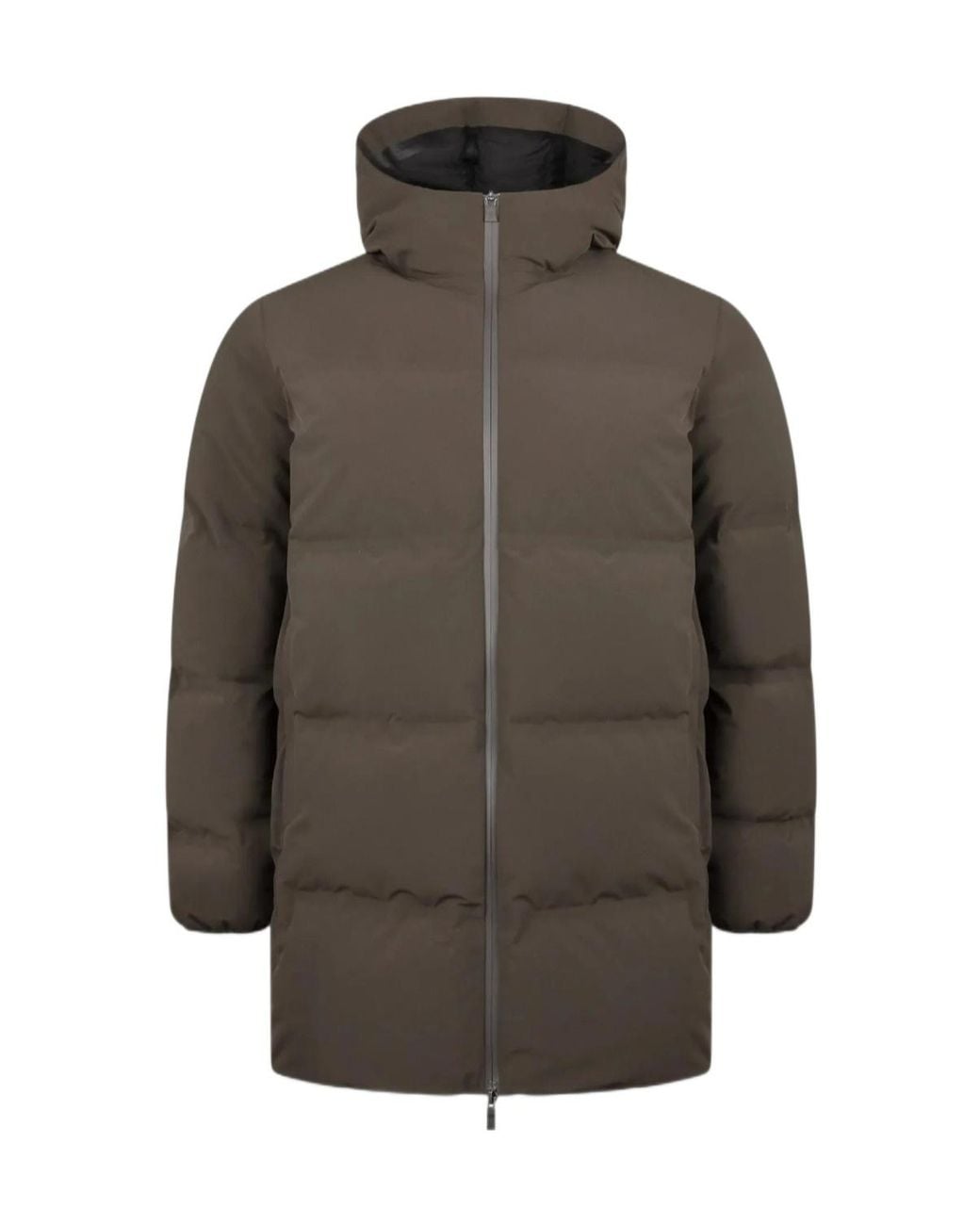 Herno Gray Hooded Down Jacket for men