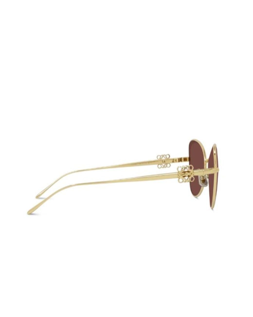 Loewe Multicolor Anagram Butterfly Frame Sunglasses