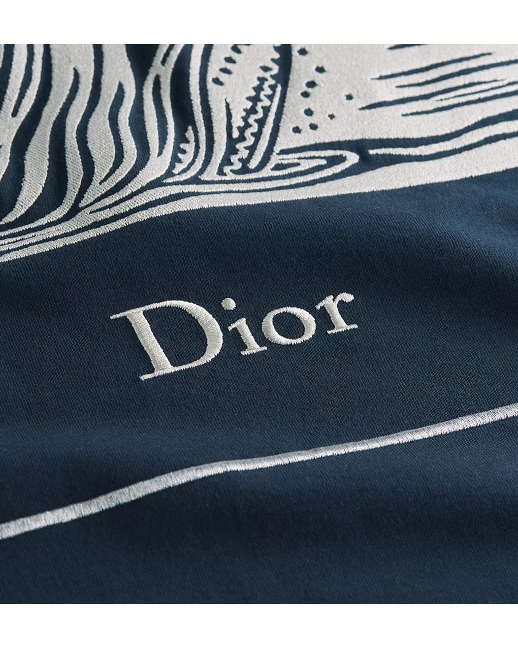 Dior Blue T-Shirt With Book Cover Embroidery And Print, Relaxed Fit for men
