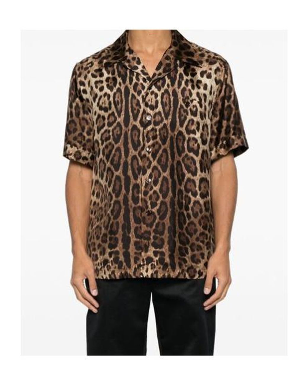 Dolce & Gabbana Brown Leopard Printed Bowling Shirt for men