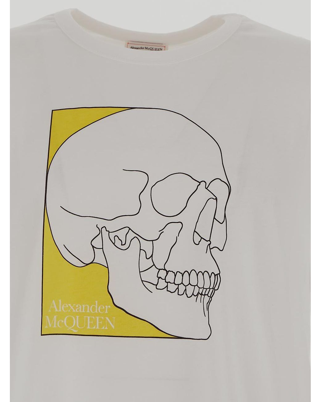 McQueen Gray Graphic Printed Crewneck T-Shirt for men