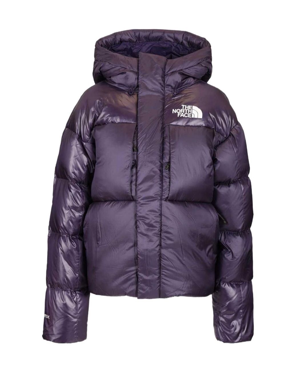 The North Face Black Pertex Down Jacket for men