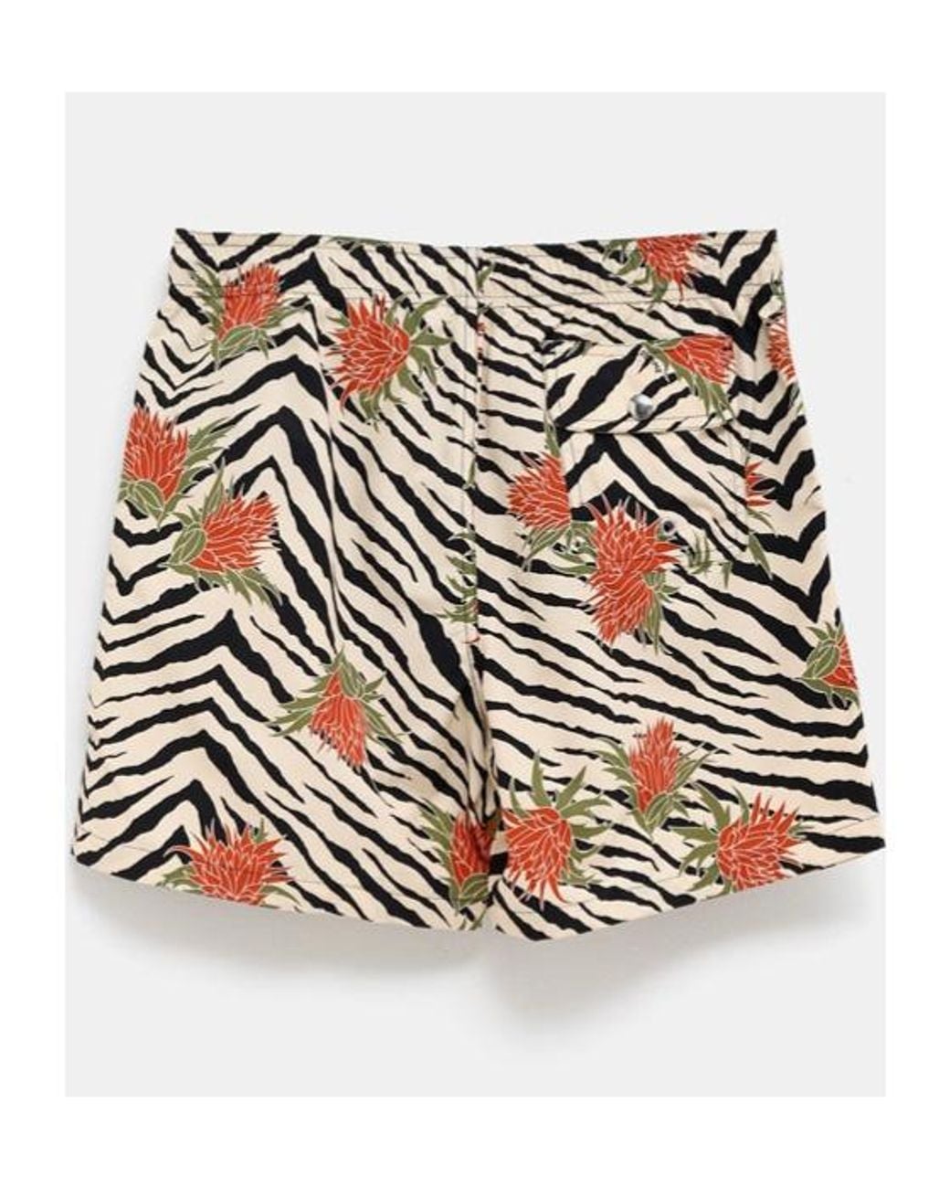 Céline Multicolor Swim Shorts for men