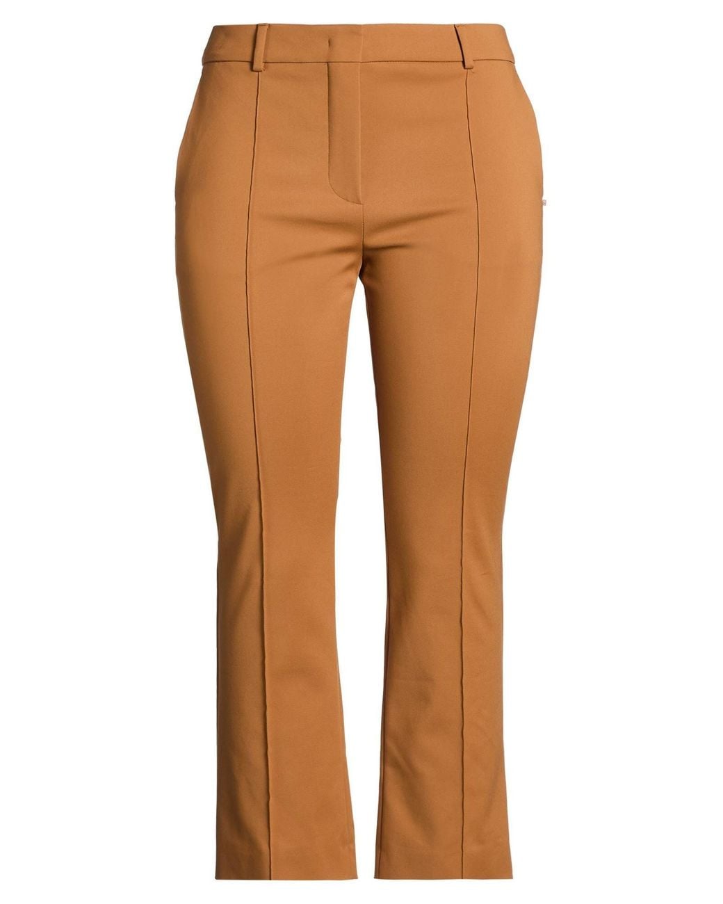 Sportmax Brown Pants Cotton, Polyamide, Elastane