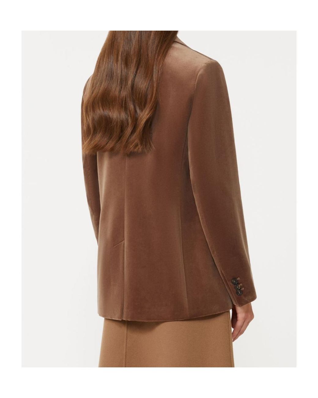 Max Mara Brown 'S Single-Breasted Tailored Blazer