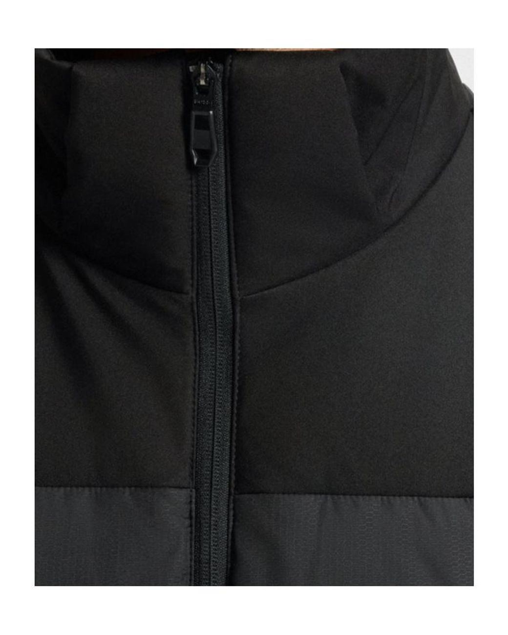 Boss Black Hooded Padded Jacket for men