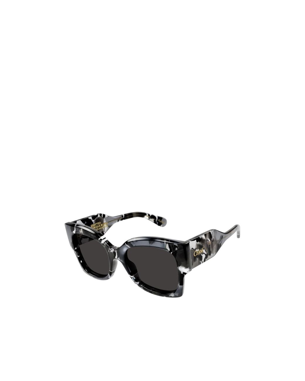 Chloé Black Ch0252S Sunglasses for men