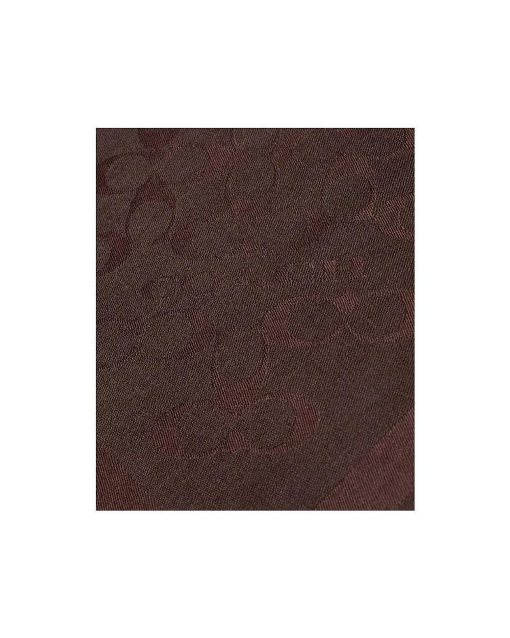 COACH Brown Tasseled Scarf