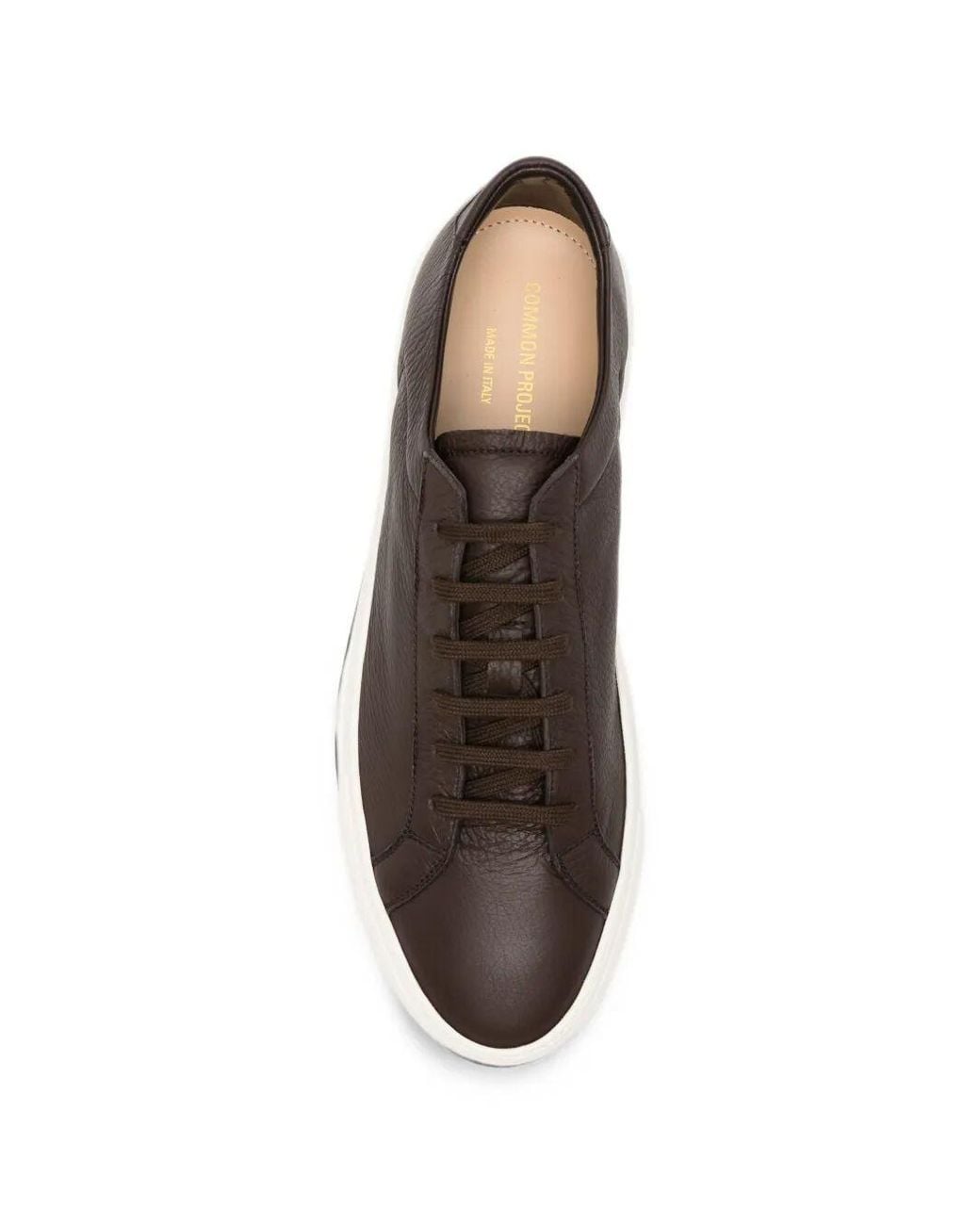 Common Projects Brown Leather Sneakers for men