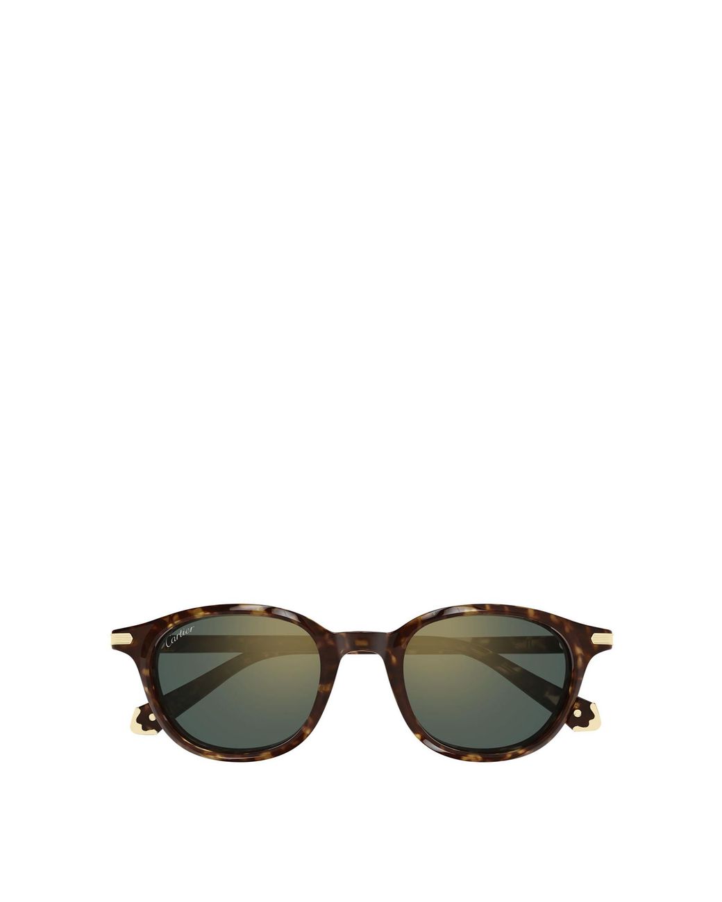 Cartier Green Ct0584S Oval Sunglasses for men