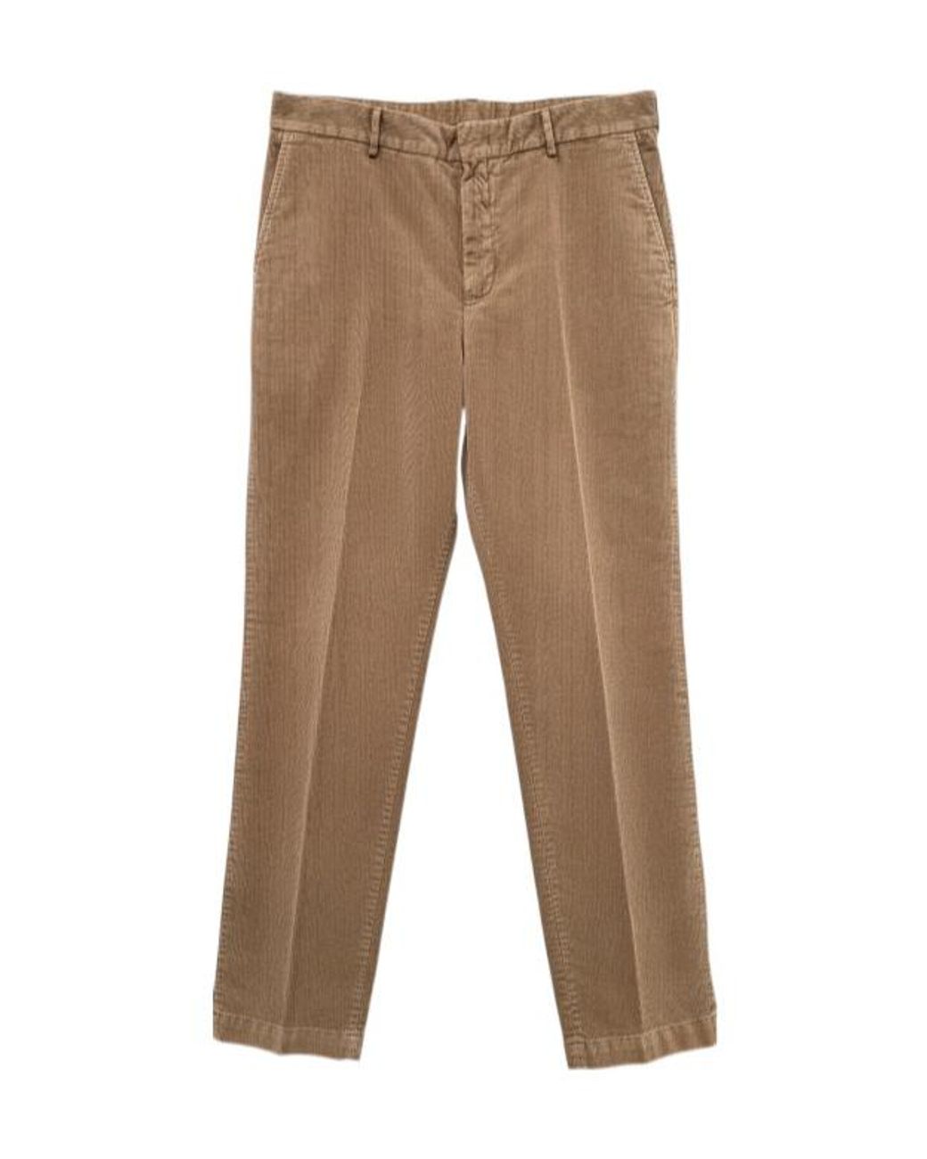 Pt Pantaloni Brown Pantalonpttorinopana for men