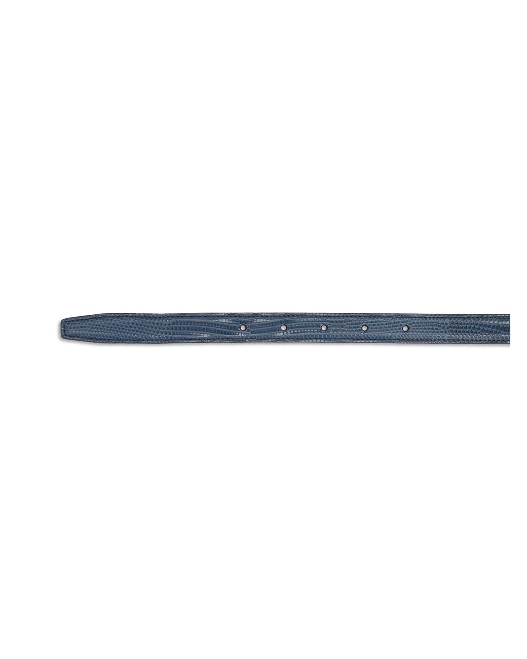 Céline Blue Triomphe Belt 18