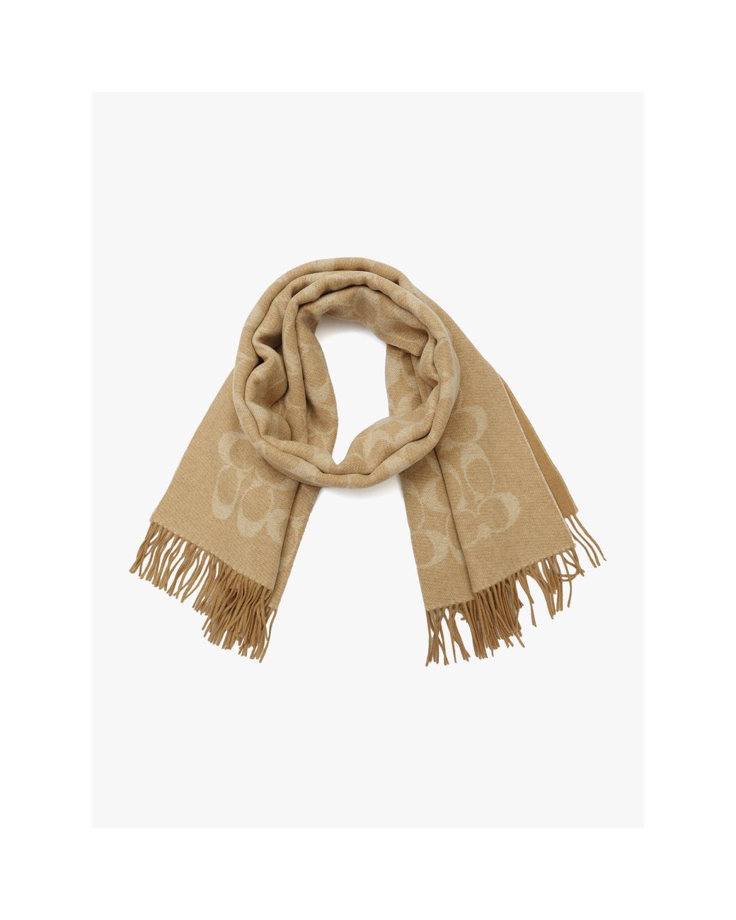 COACH Natural Jacquard-Long Scarf