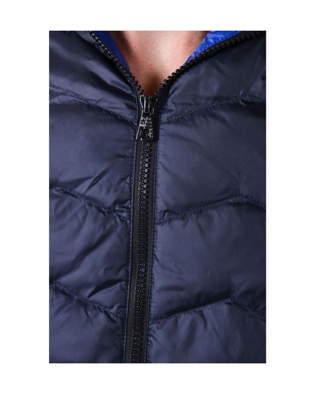 EA7 Blue Logo Down Jacket for men