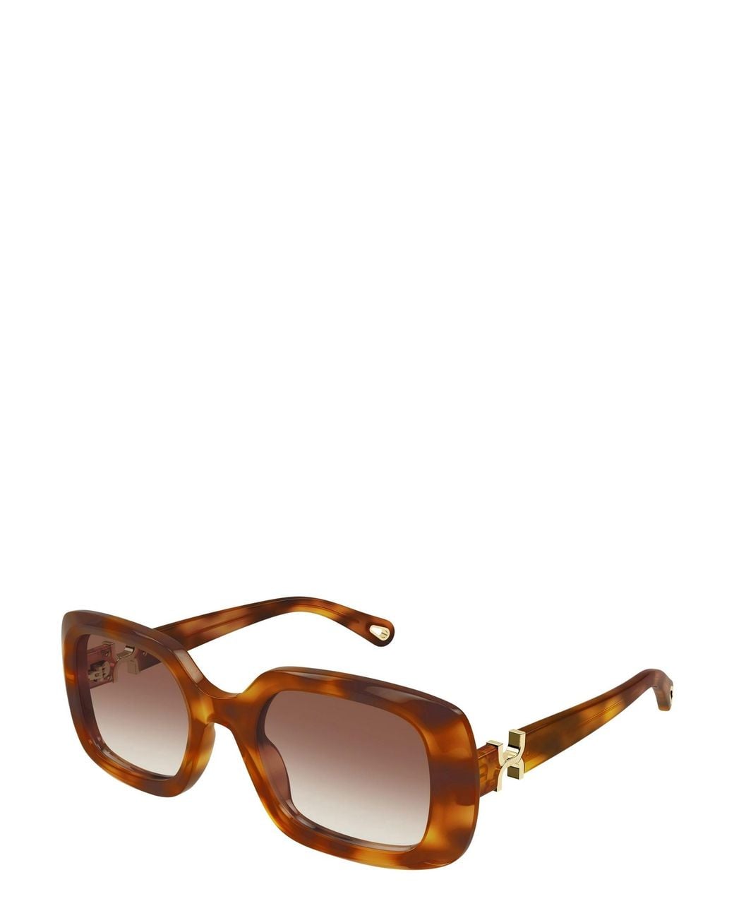 Chloé Brown Chloé Eyewear Square Frame Sunglasses
