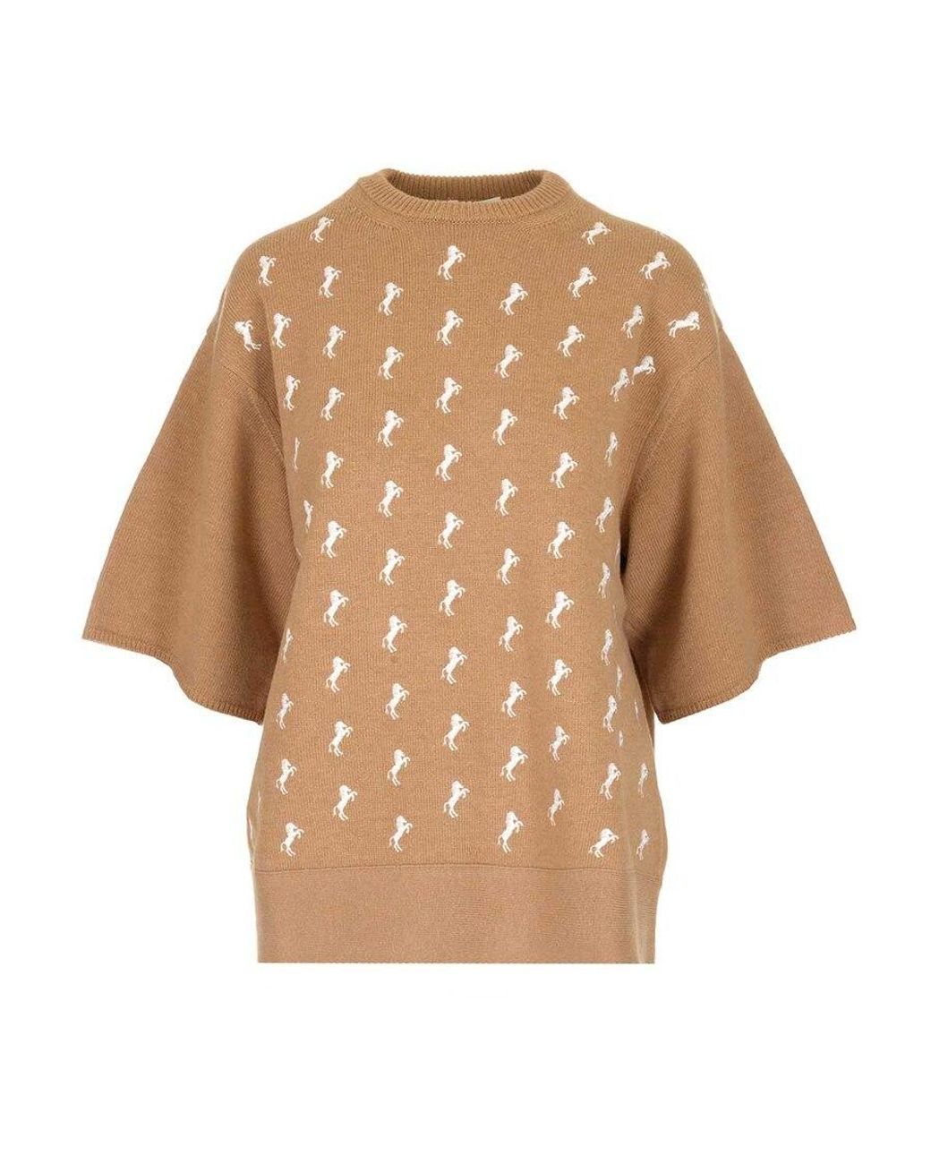 Chloé Natural Pony Embroidered Sweater