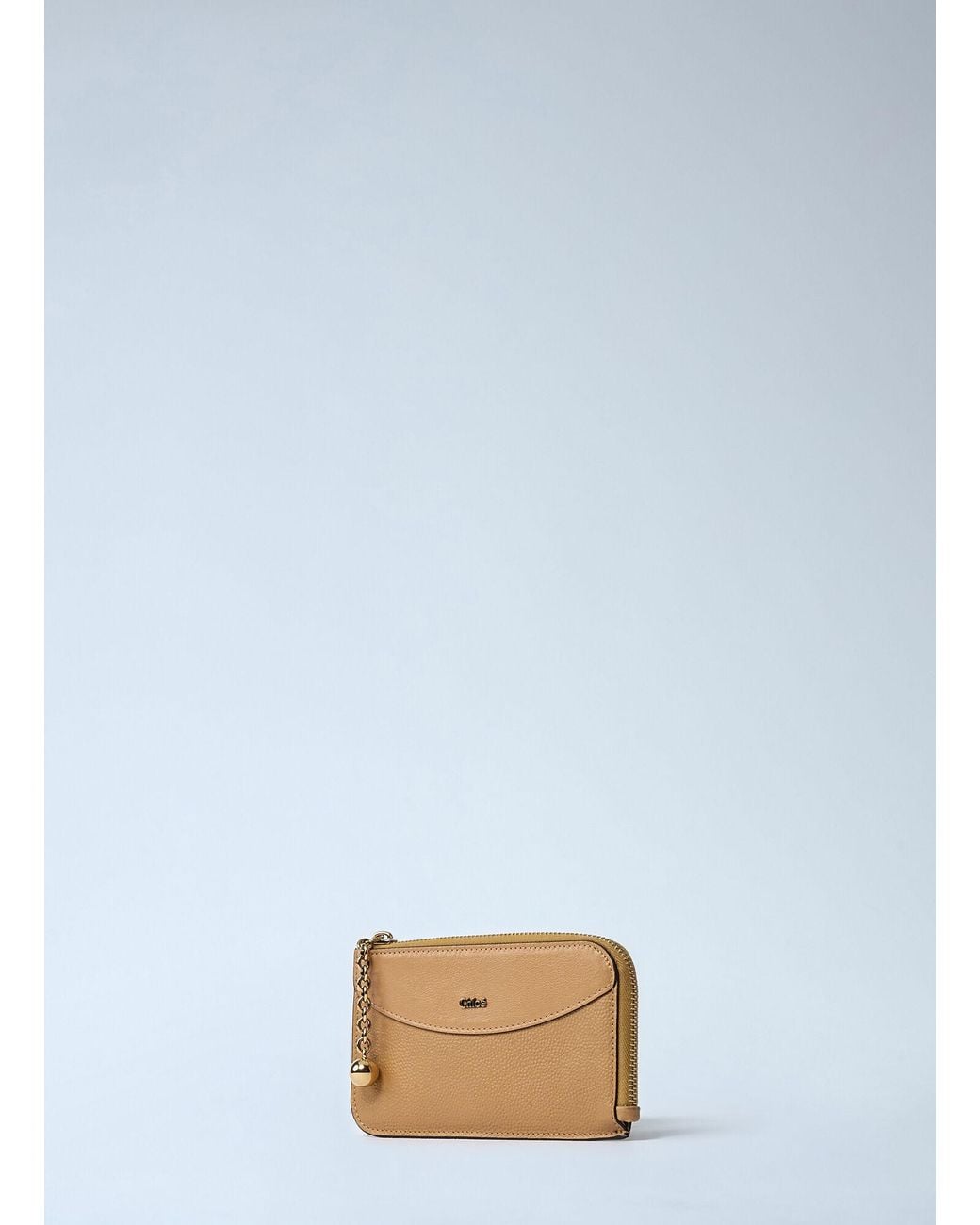 Chloé Multicolor Chloé Logo Plaque Zipped Wallet