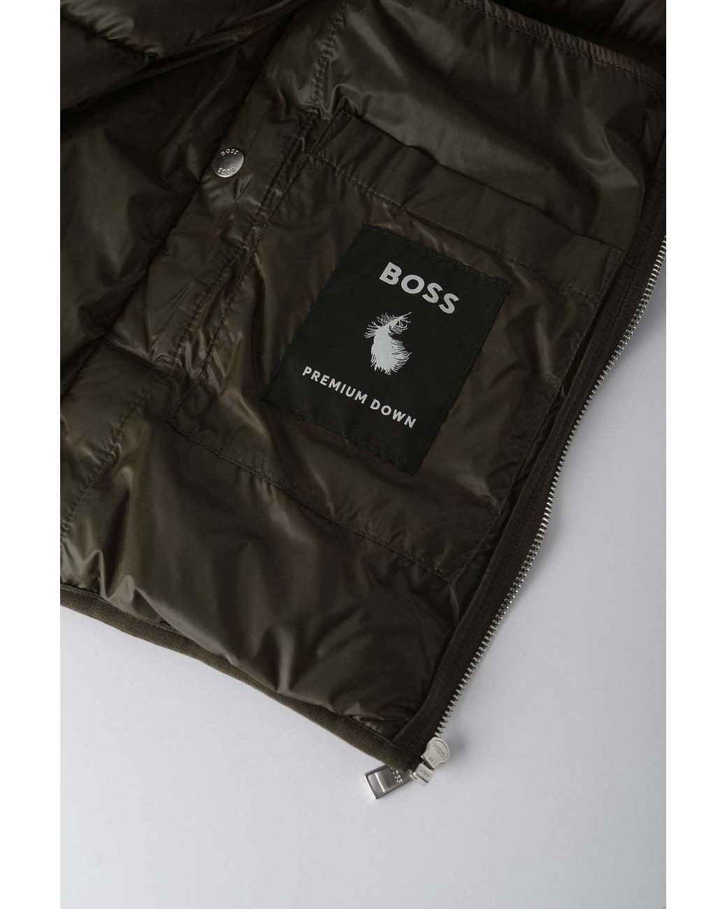 Boss Brown Long Sleeve Down Jacket for men