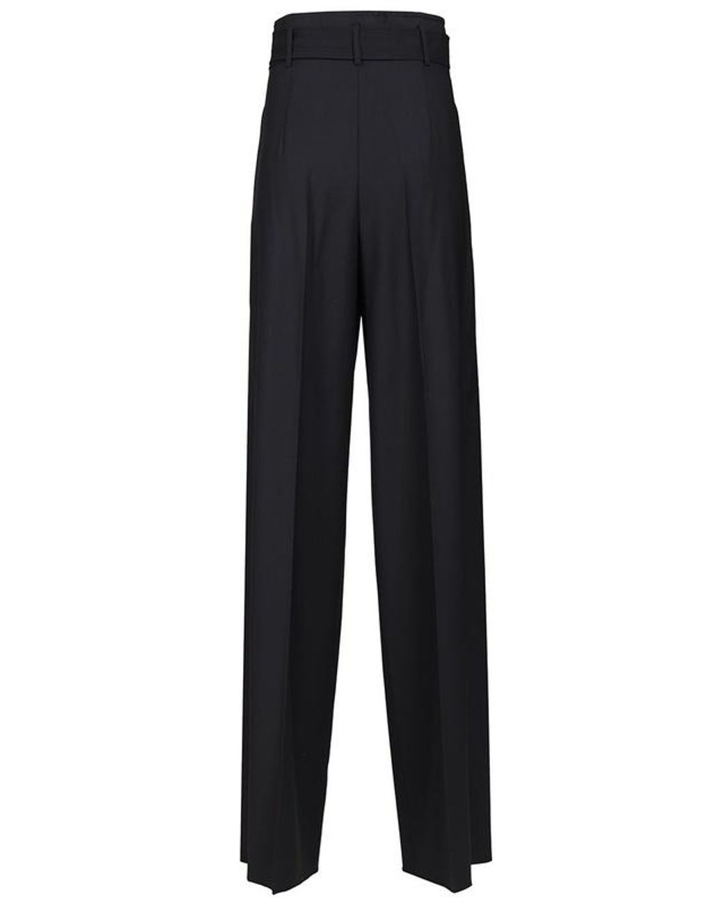 Max Mara Blue Studio Mstserio Wide-Leg Pants