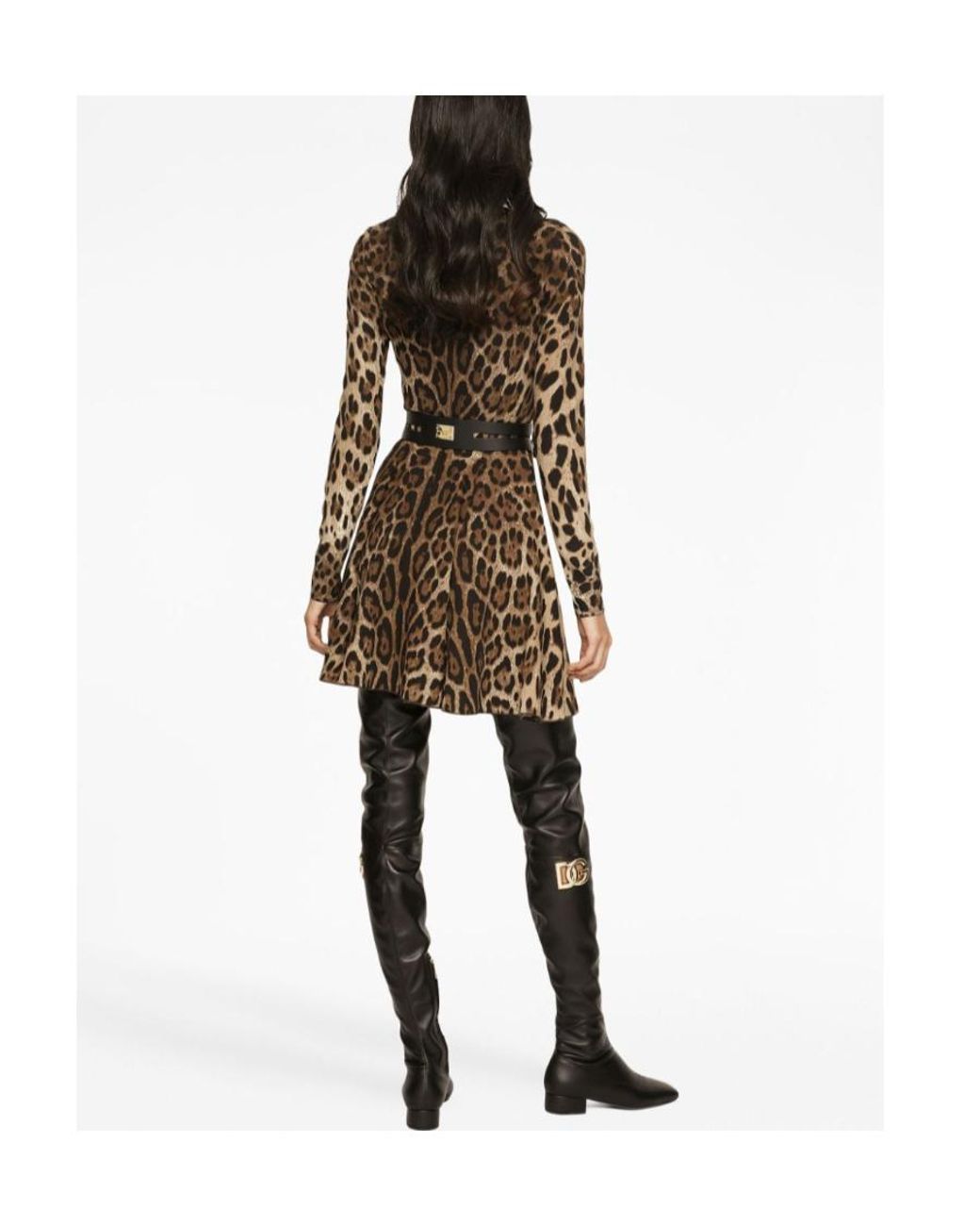 Dolce & Gabbana Brown Leopard-Print Mini Dress