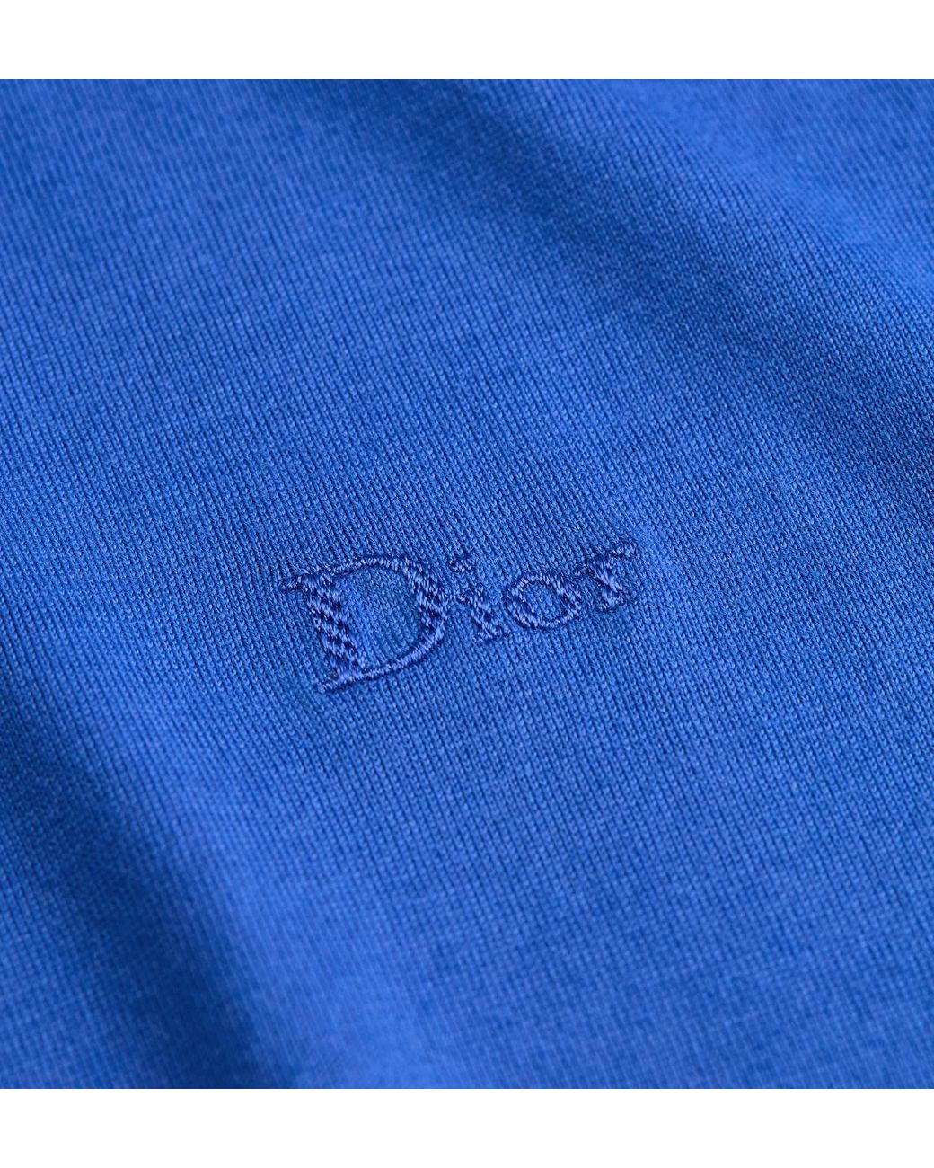 Dior Blue T-Shirt With Embroidery, Relaxed Fit for men