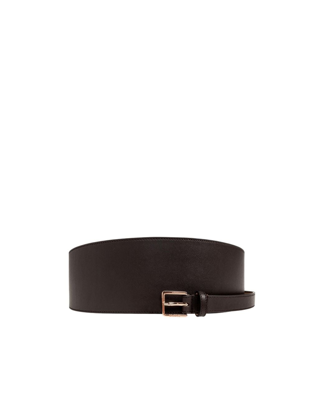 Max Mara Multicolor Mulino Waist Belt