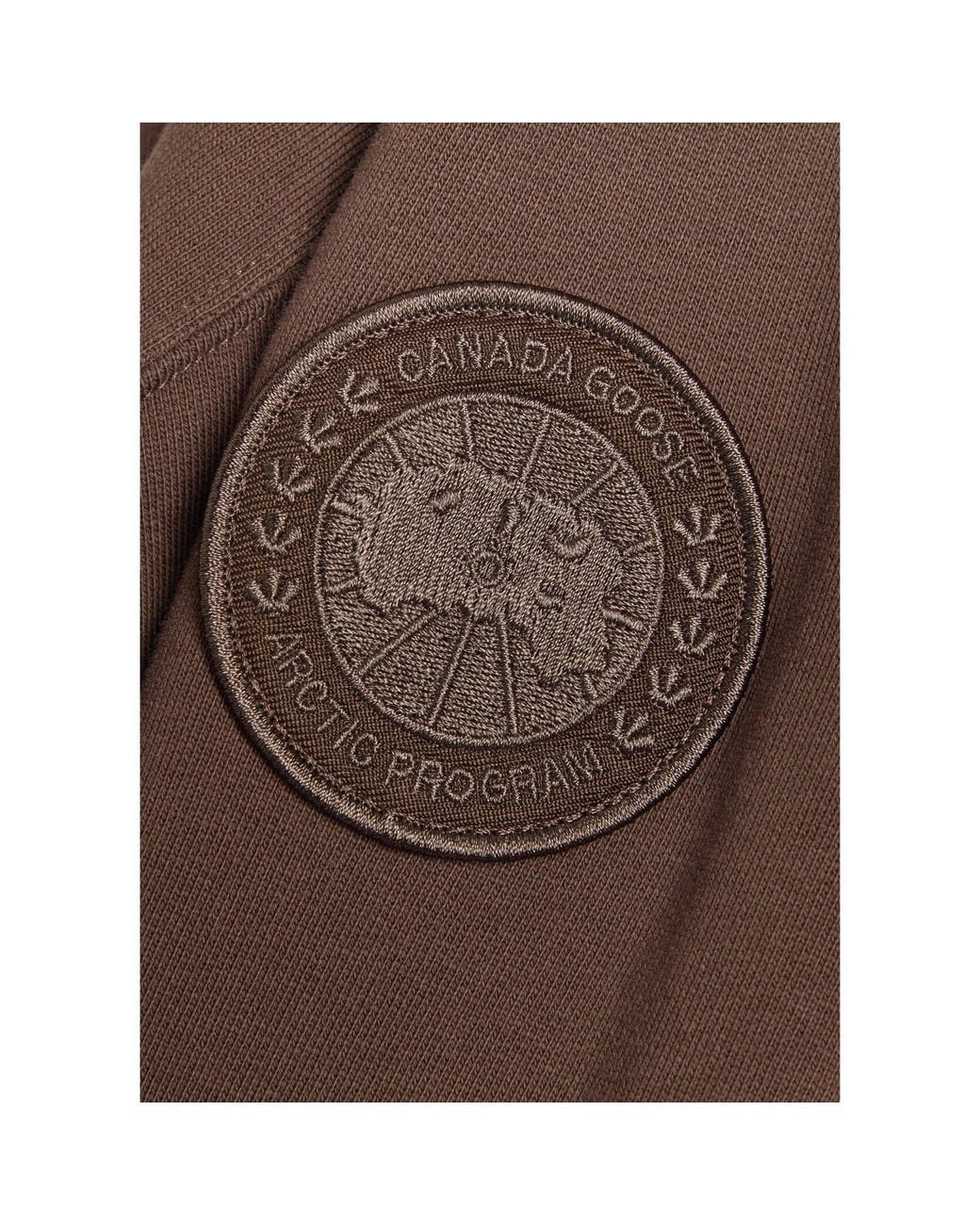 Canada Goose Brown Casual Hooded Sweatshirt for men