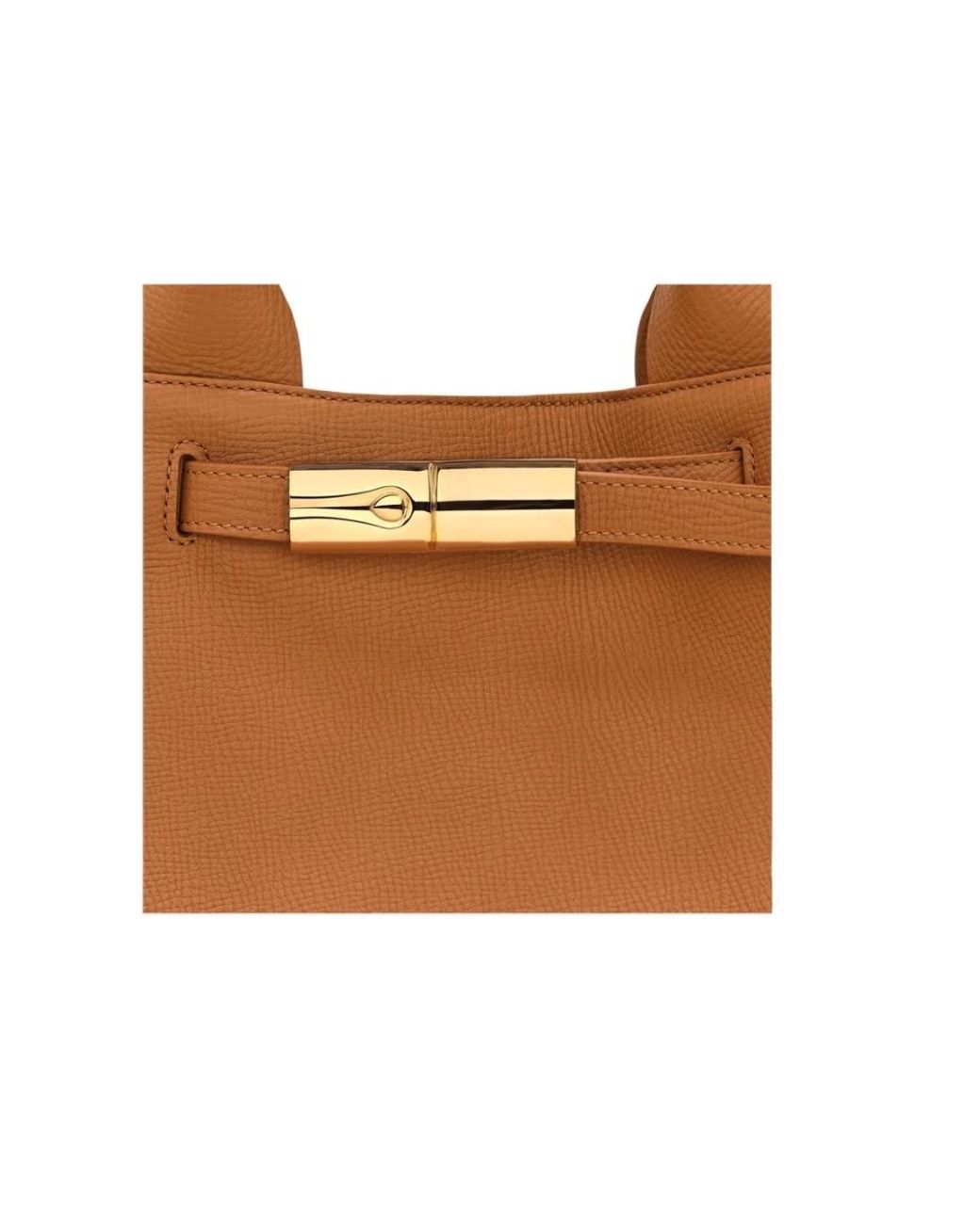 Longchamp Brown Le Smart Shopping Bag