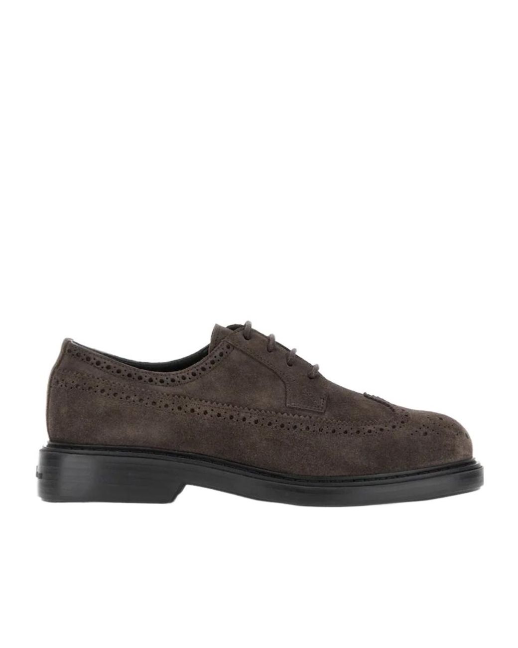 Hogan Brown H704 Brogue Derby Shoes for men