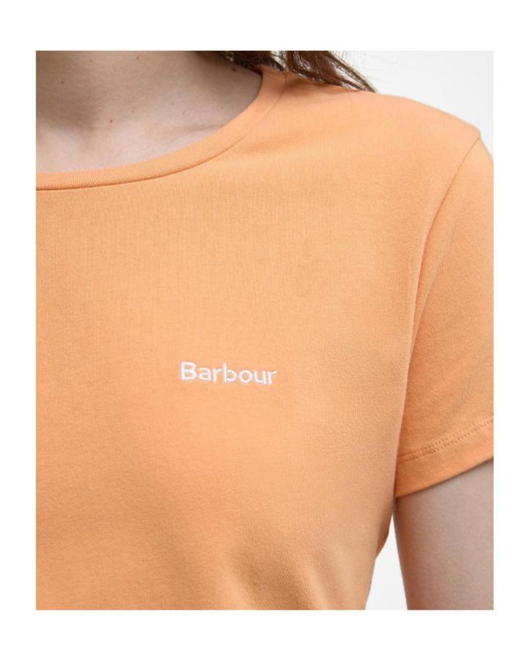 Barbour Natural Saltford Logo T-Shirt