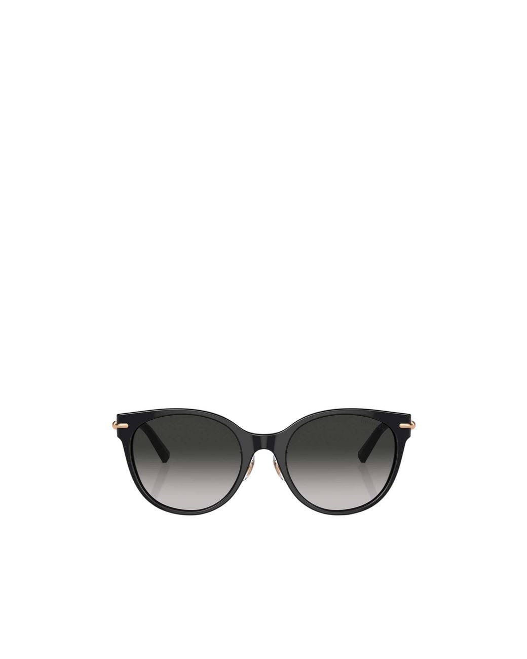 Tiffany & Co Multicolor Panthos Frame Sunglasses