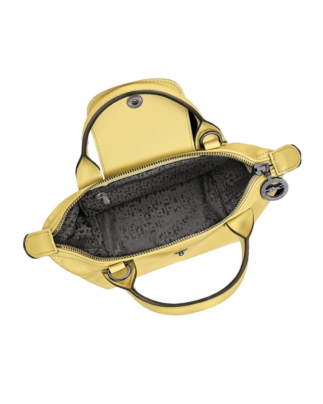 Longchamp Metallic Le Pliage Xtra Xs Handbag