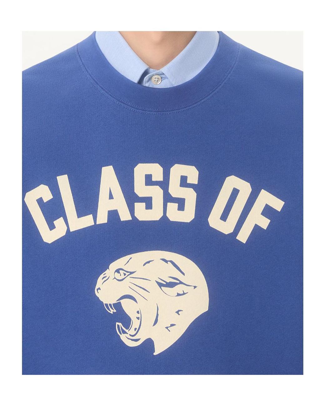 Valentino Blue Animal Printed Crewnek Sweatshirt for men