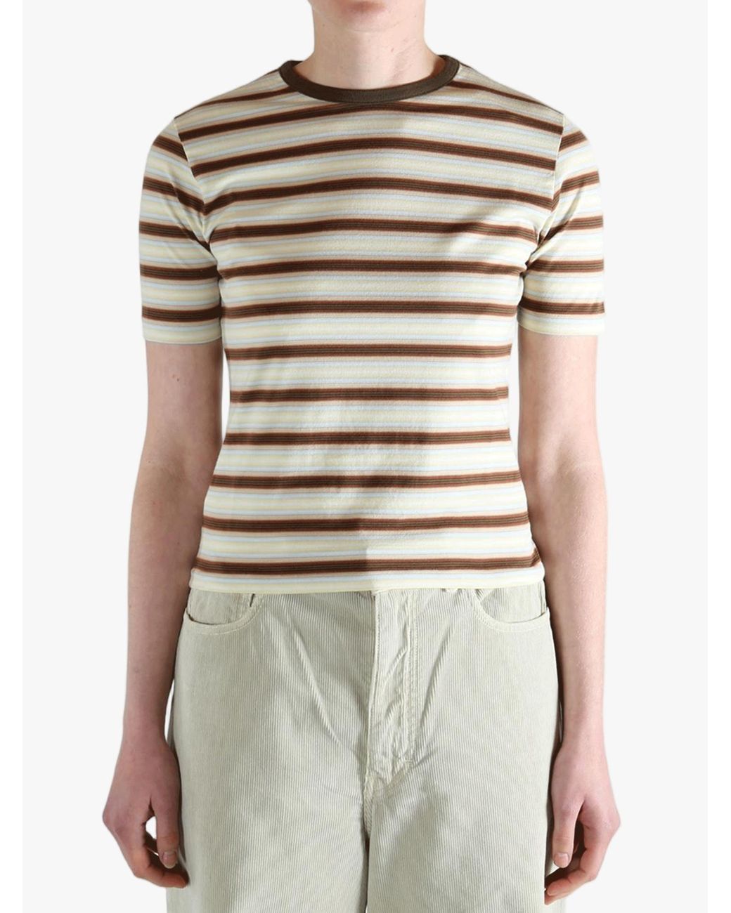 Auralee White Gradient Striped T-Shirt
