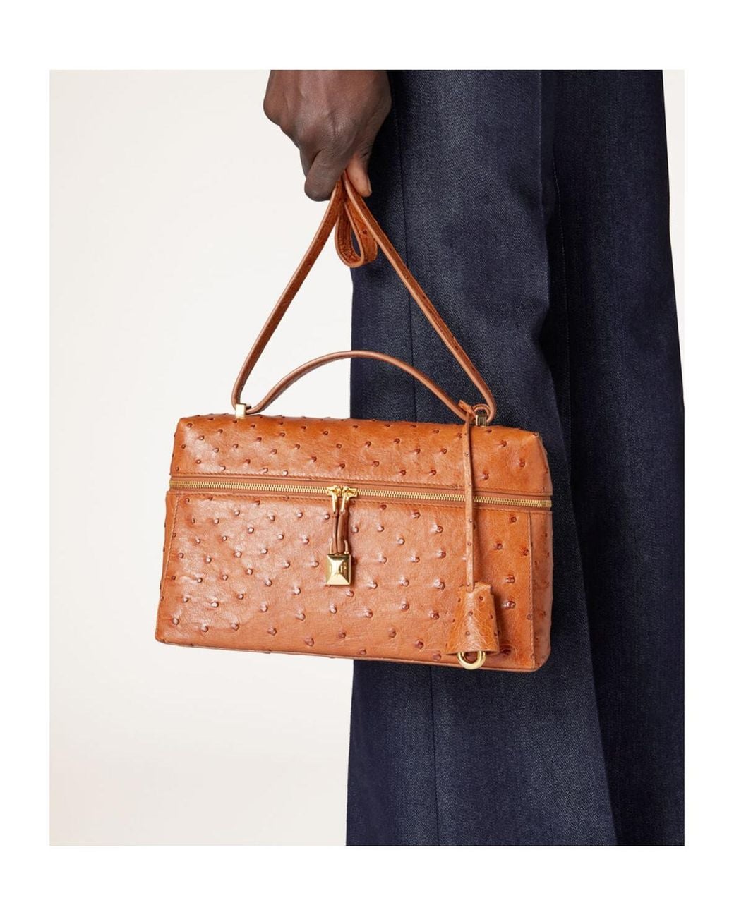 Loro Piana Brown Extra Bag L27