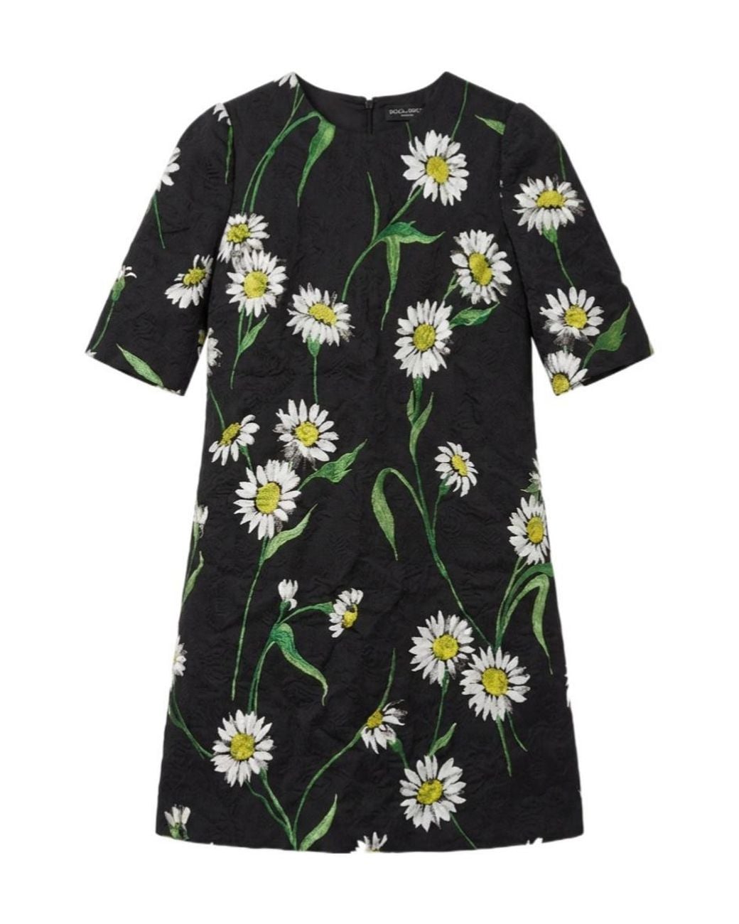 Dolce & Gabbana Multicolor Short-Sleeved Dress