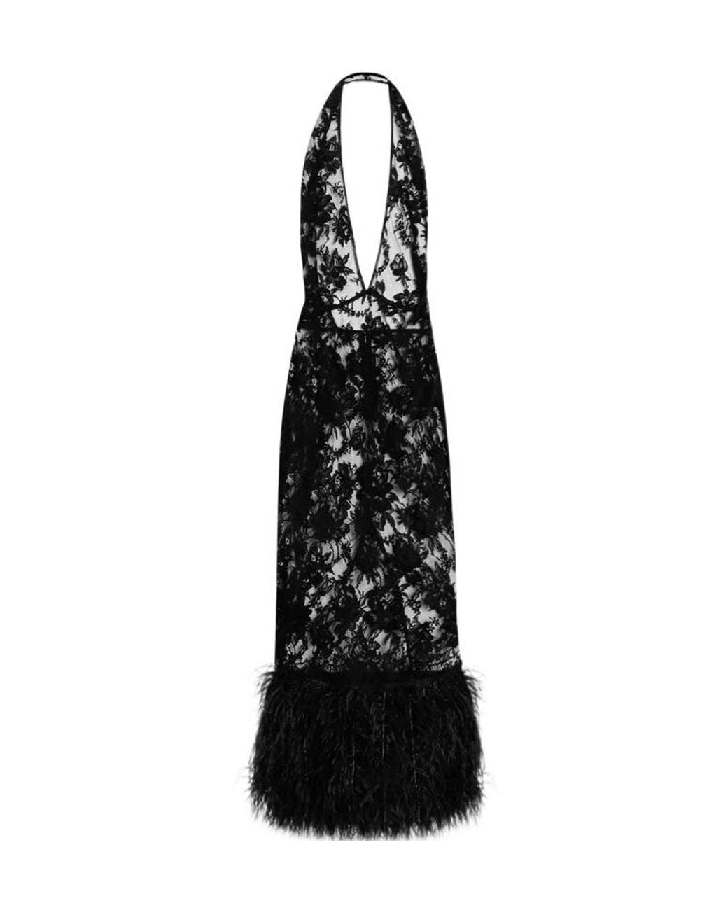 Dolce & Gabbana Black Lace Dress With Feathers Strucia