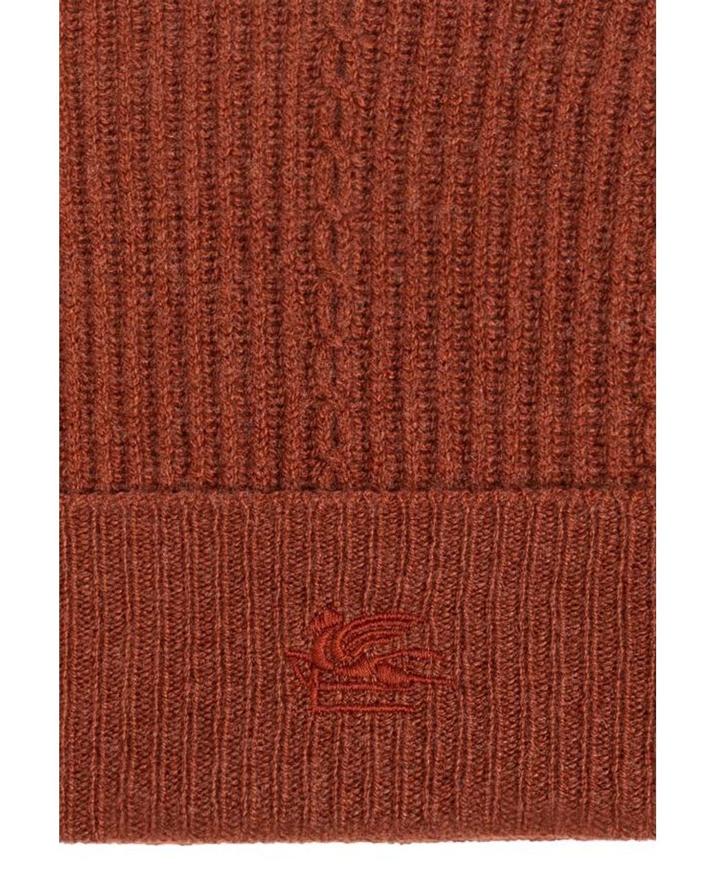 Etro Brown Logo Embroidered Knitted Beanie