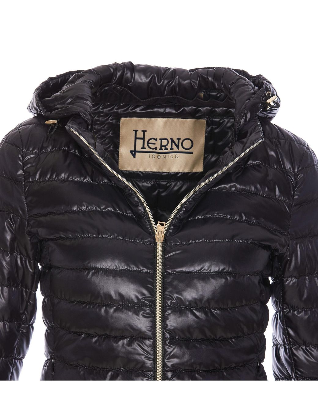 Herno Black Zip-Up Hooded Down Jacket