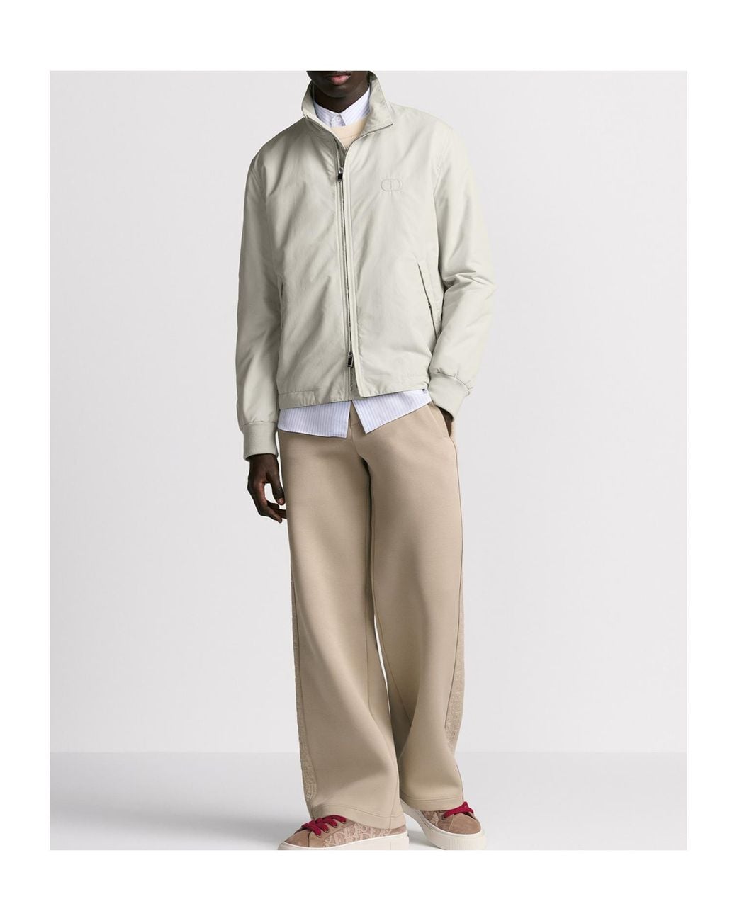 Dior Gray Cd Icon Harrington Jacket for men