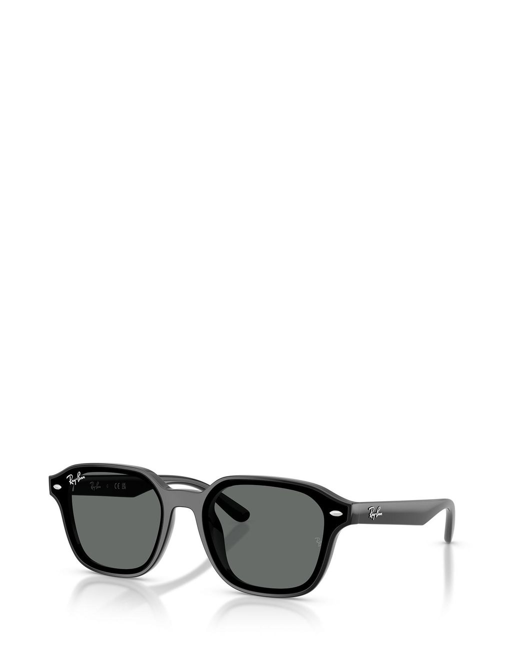 Ray-Ban Gray Sunglasses