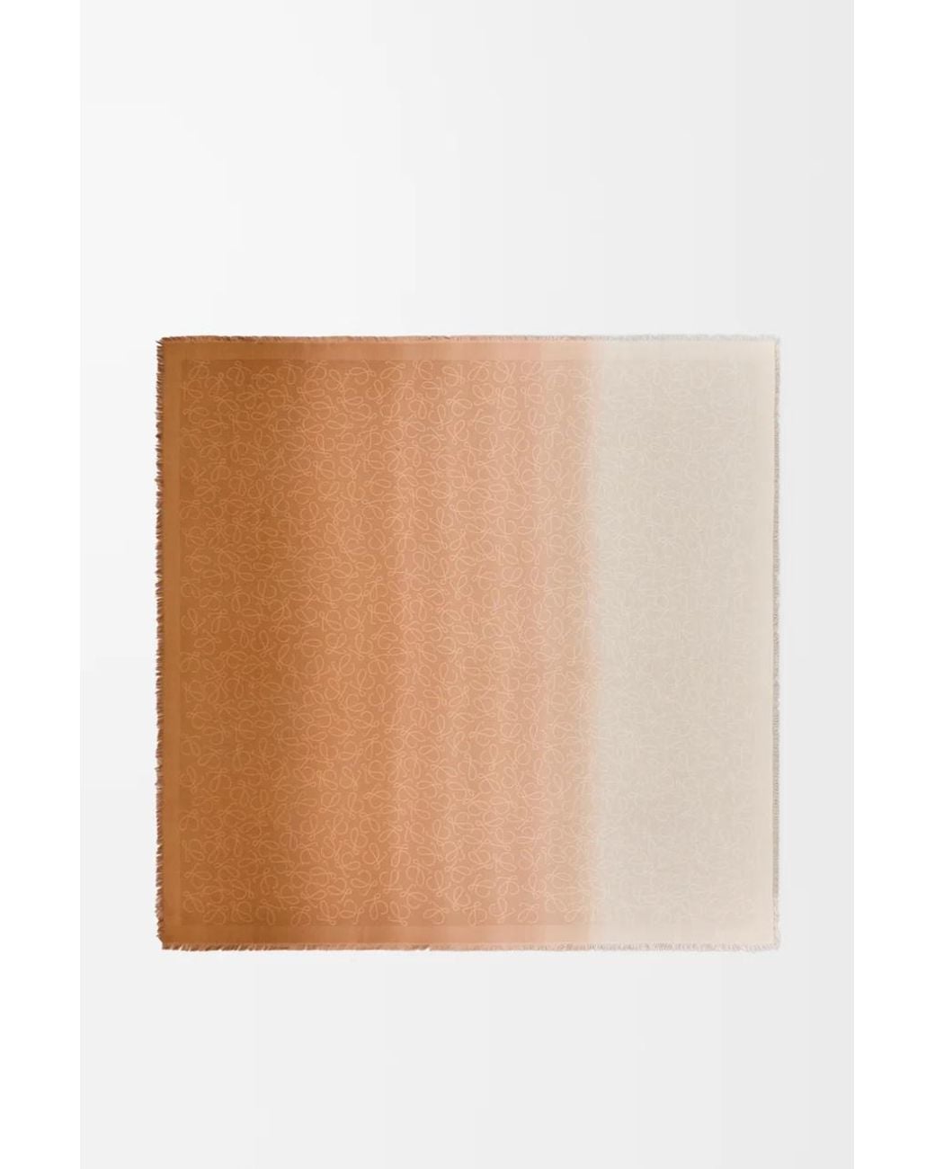 Loewe White Logo Scarf for men