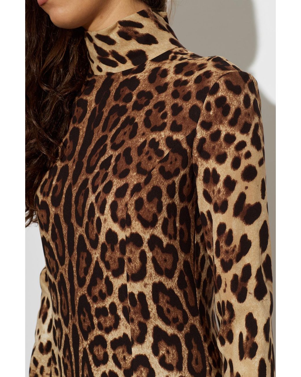 Dolce & Gabbana Brown Animal-Print Maxi Dress