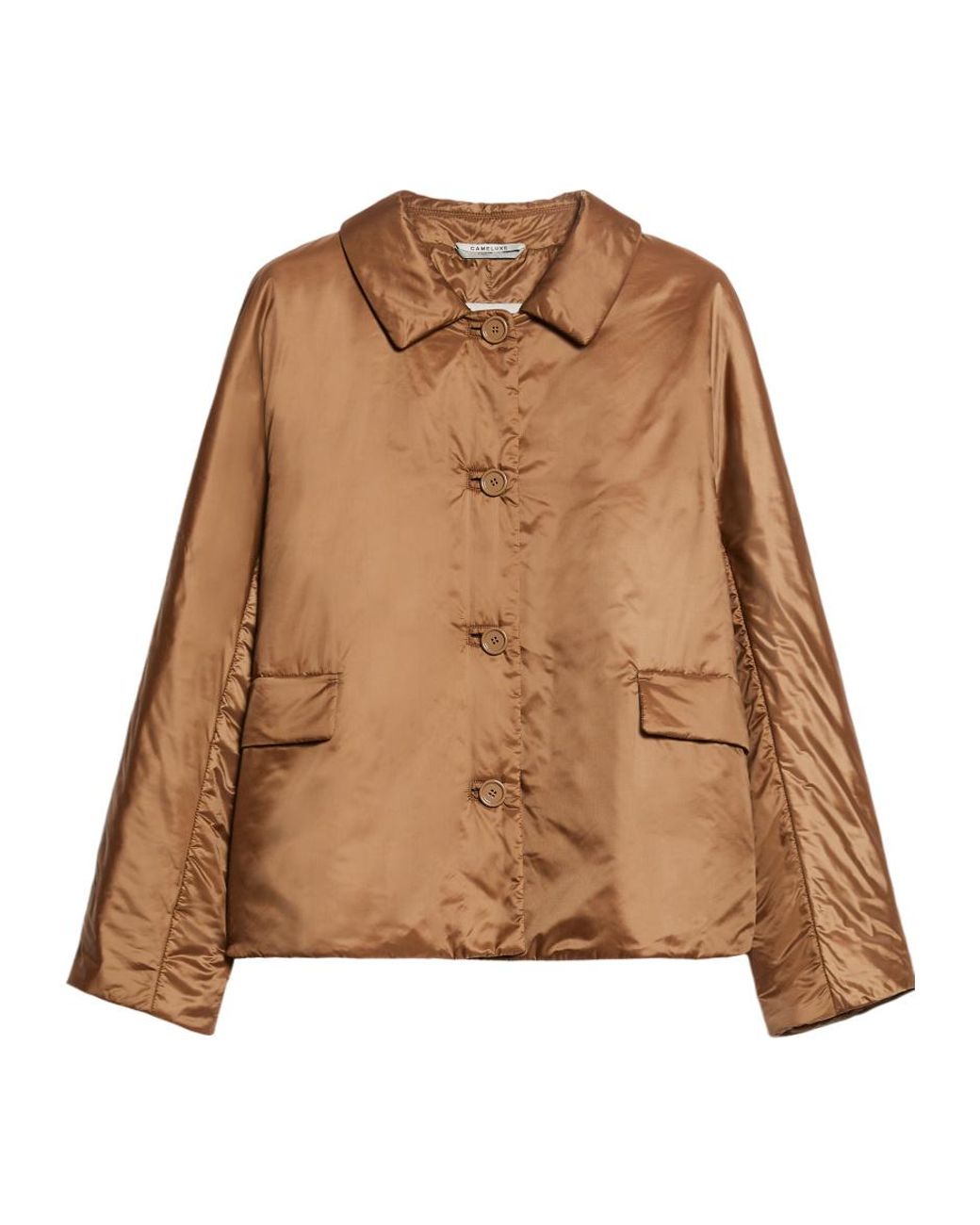 Max Mara Brown The Cube Buttoned Padded Coat