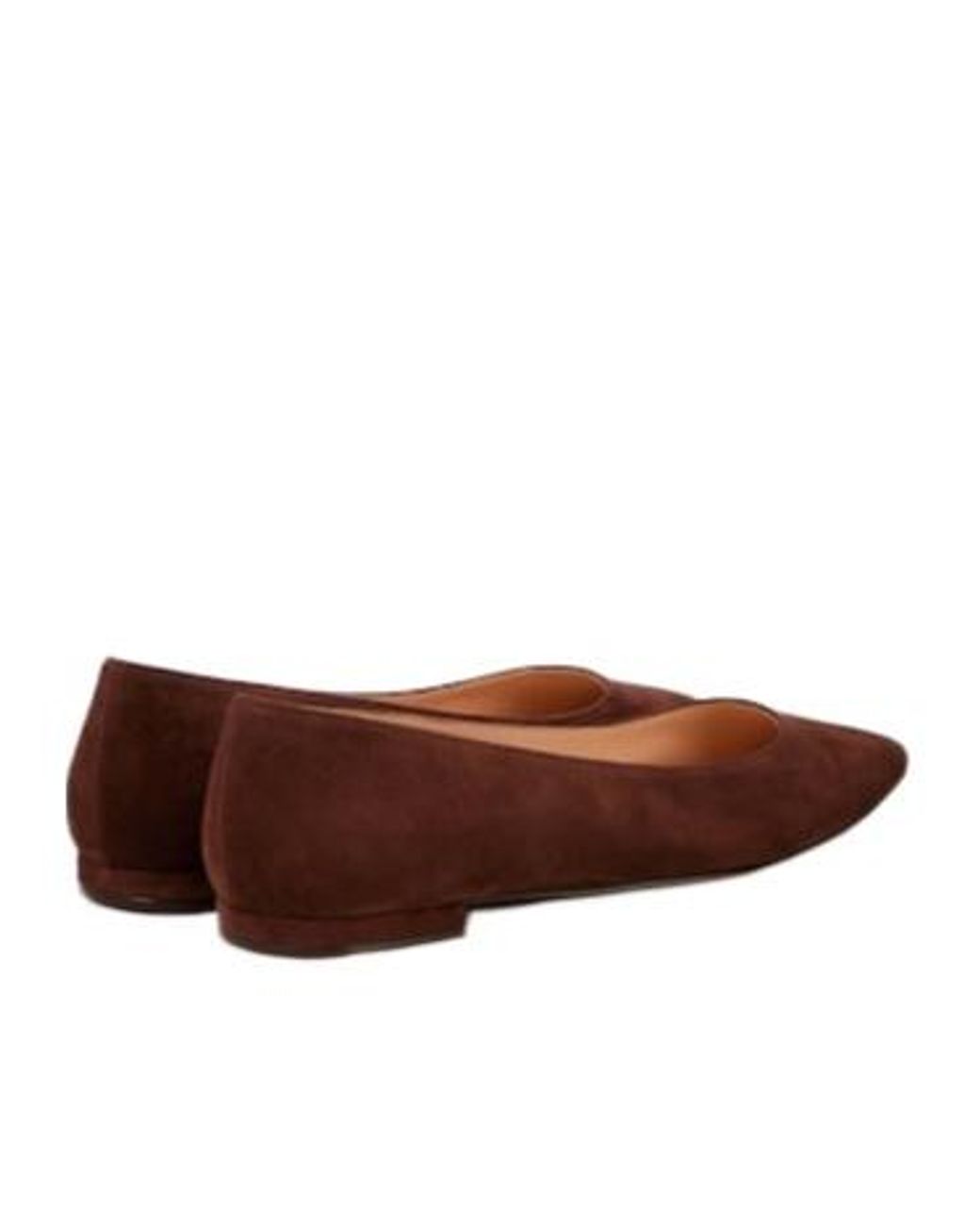 Gianvito Rossi Brown Elegant Versatile Flat Shoes